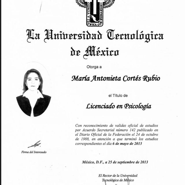 Ampliar imagen: certificate 1