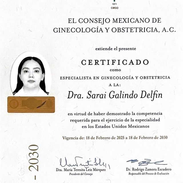 Ampliar imagen: certificate 2