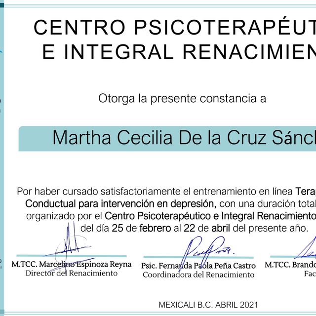 Ampliar imagen: certificate 8
