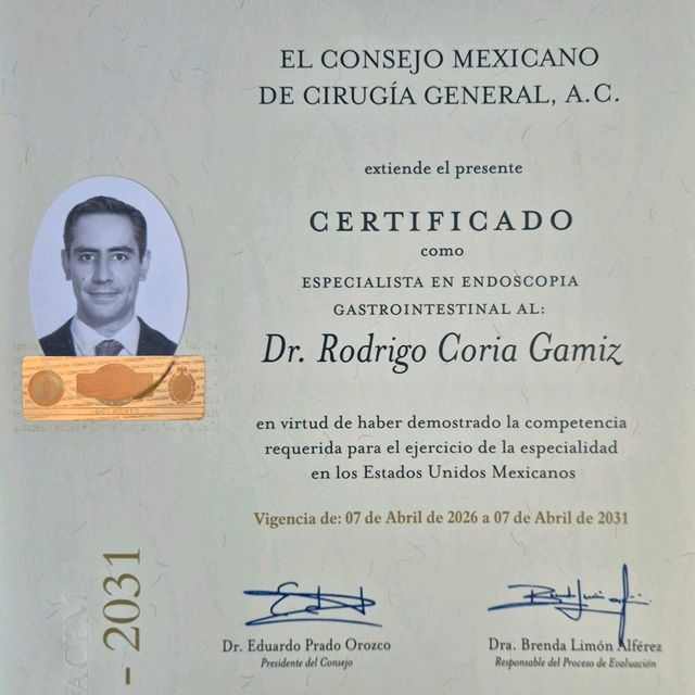 Ampliar imagen: certificate 4
