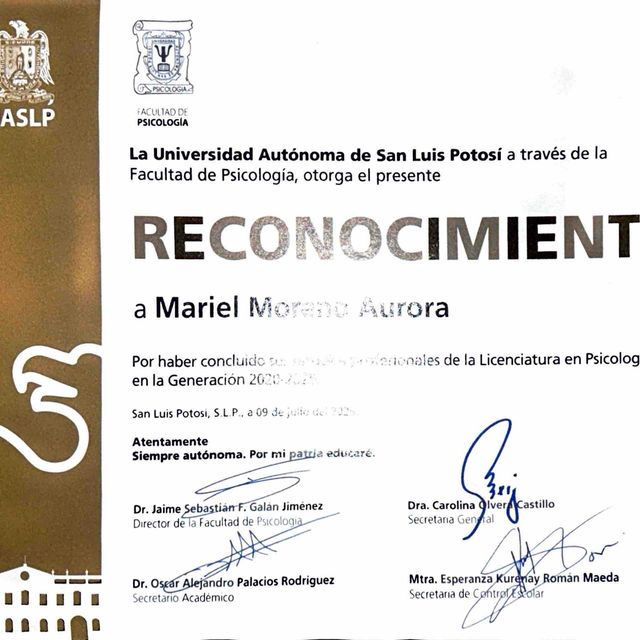 Ampliar imagen: certificate 4