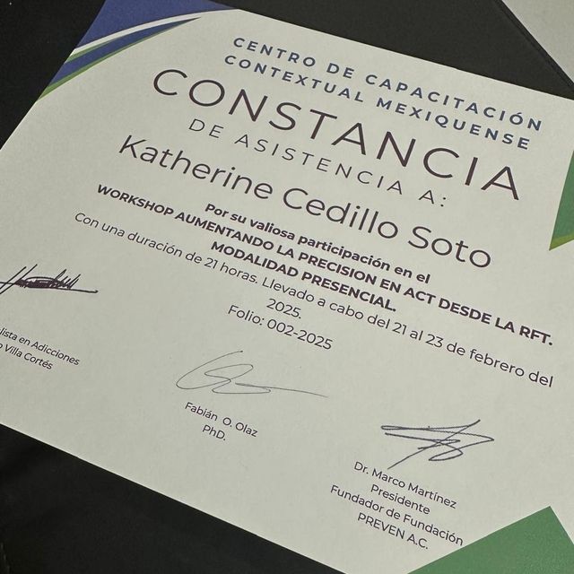 Ampliar imagen: certificate 17