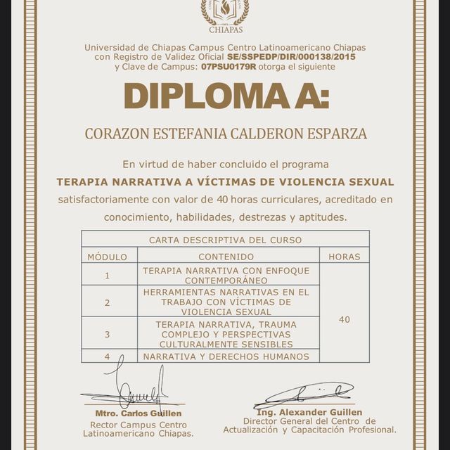 Ampliar imagen: certificate 9