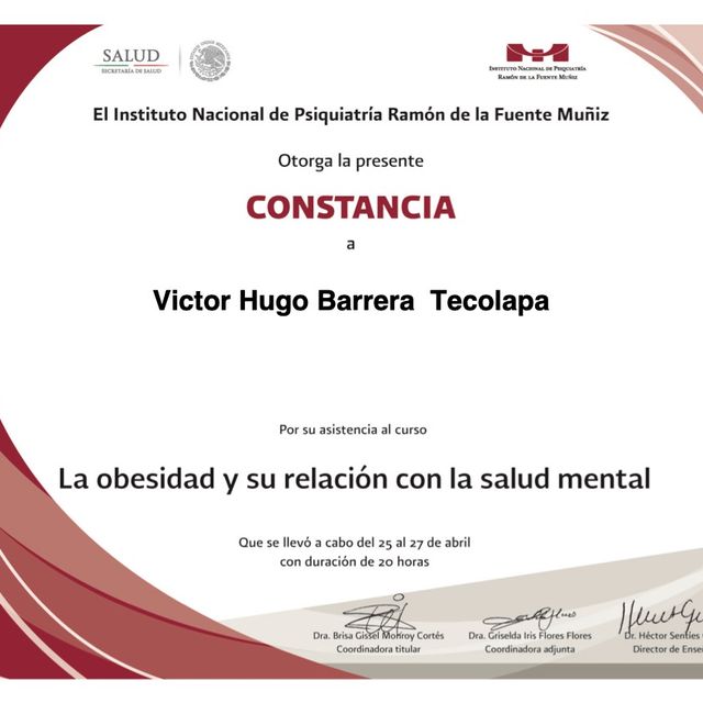 Ampliar imagen: certificate 53