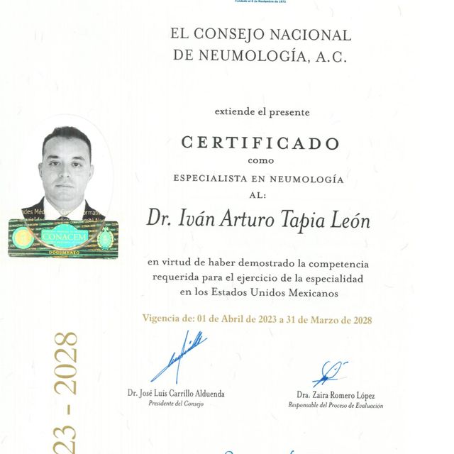 Ampliar imagen: certificate 1