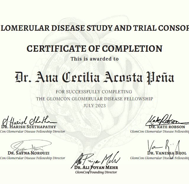 Ampliar imagen: certificate 4