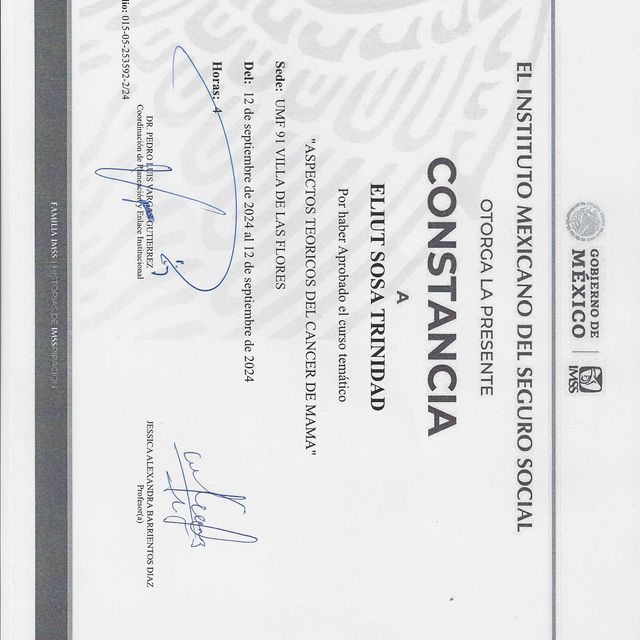Ampliar imagen: certificate 6