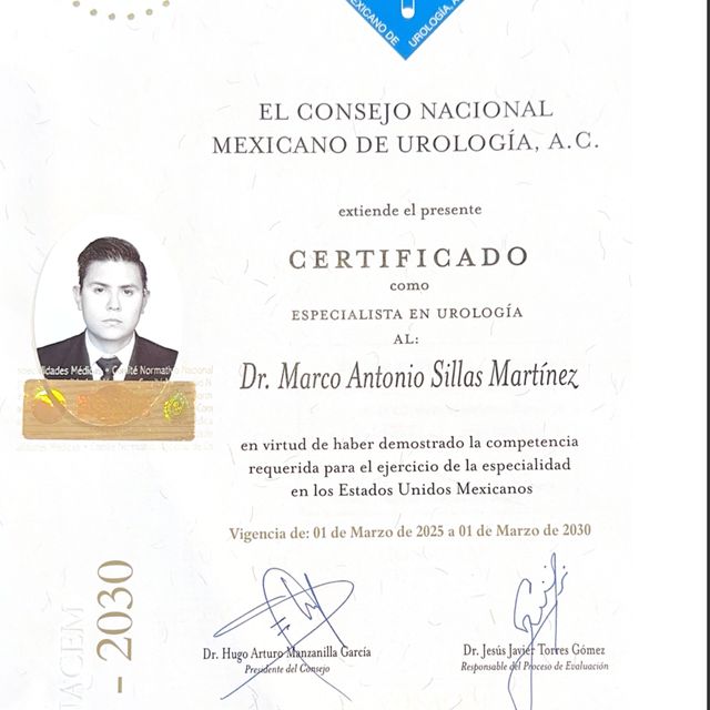 Ampliar imagen: certificate 4