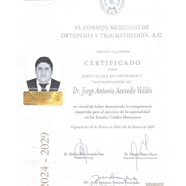 Ampliar imagen: certificate 2