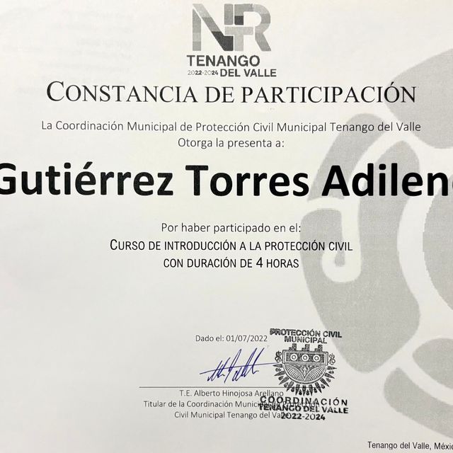 Ampliar imagen: certificate 9