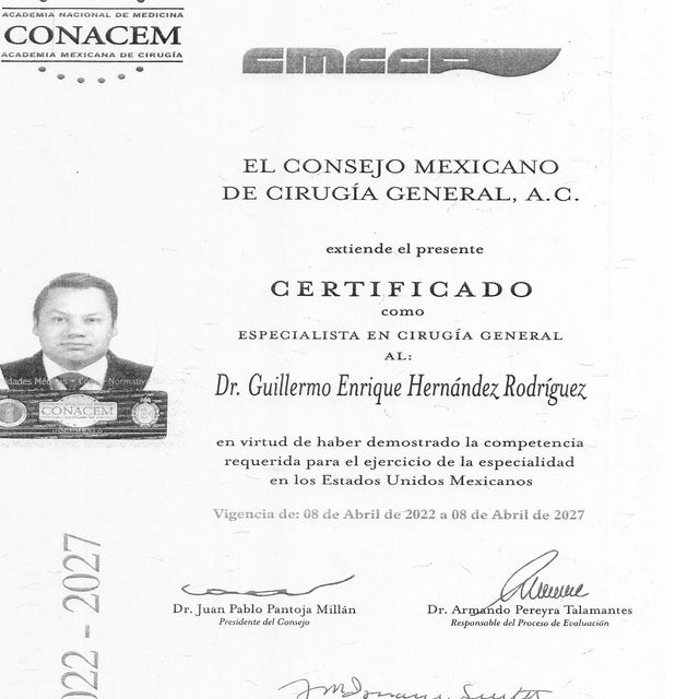 Ampliar imagen: certificate 8