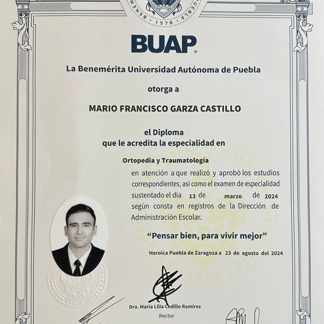 Ampliar imagen: certificate 1