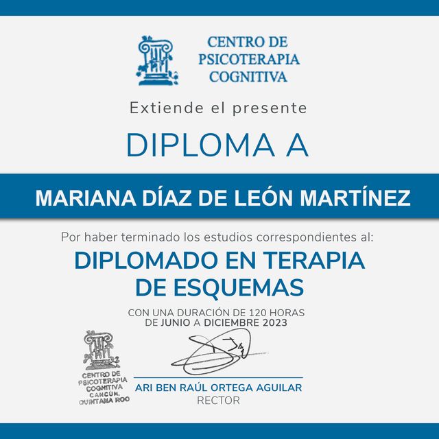 Ampliar imagen: certificate 3