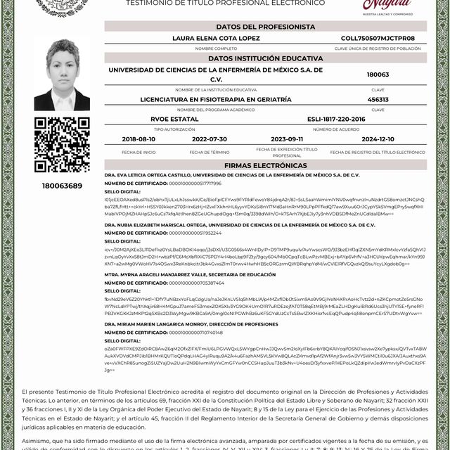 Ampliar imagen: certificate 4