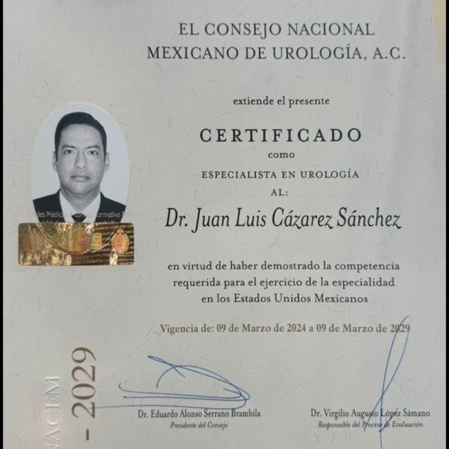 Ampliar imagen: certificate 1
