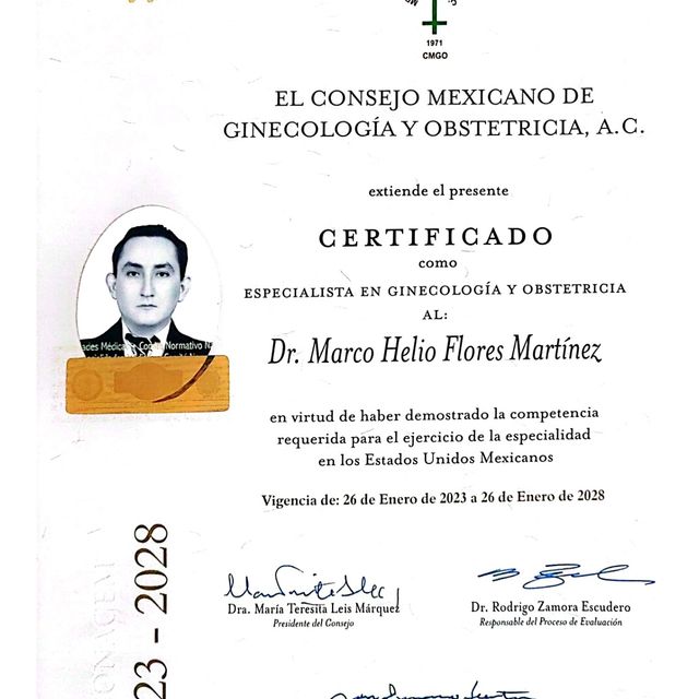 Ampliar imagen: certificate 1