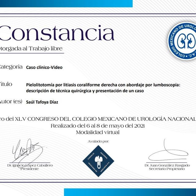 Ampliar imagen: certificate 7