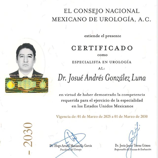 Ampliar imagen: certificate 1