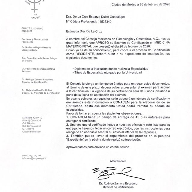 Ampliar imagen: certificate 1
