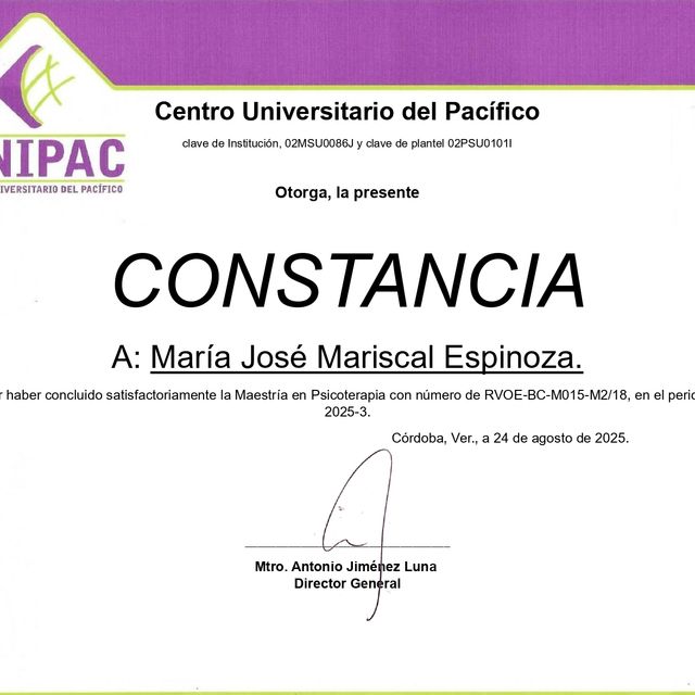 Ampliar imagen: certificate 8