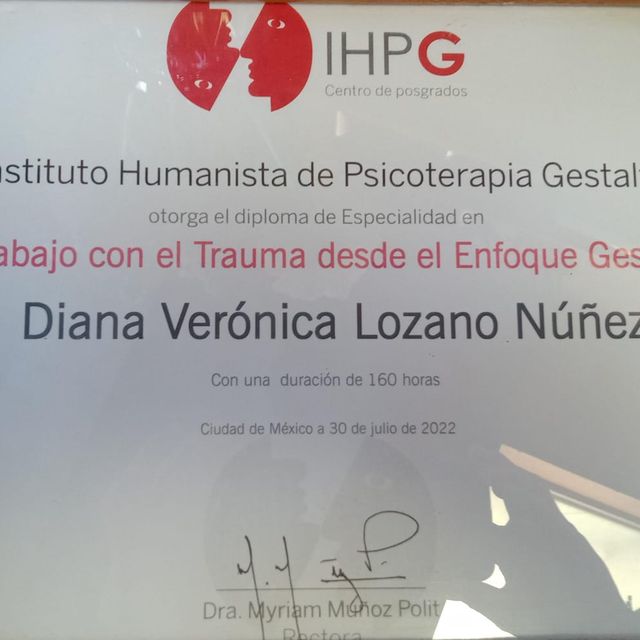 Ampliar imagen: certificate 6