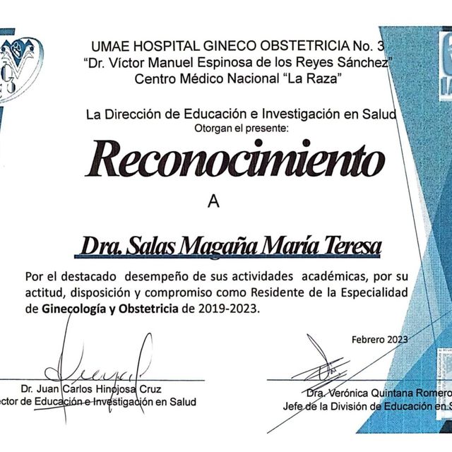 Ampliar imagen: certificate 4