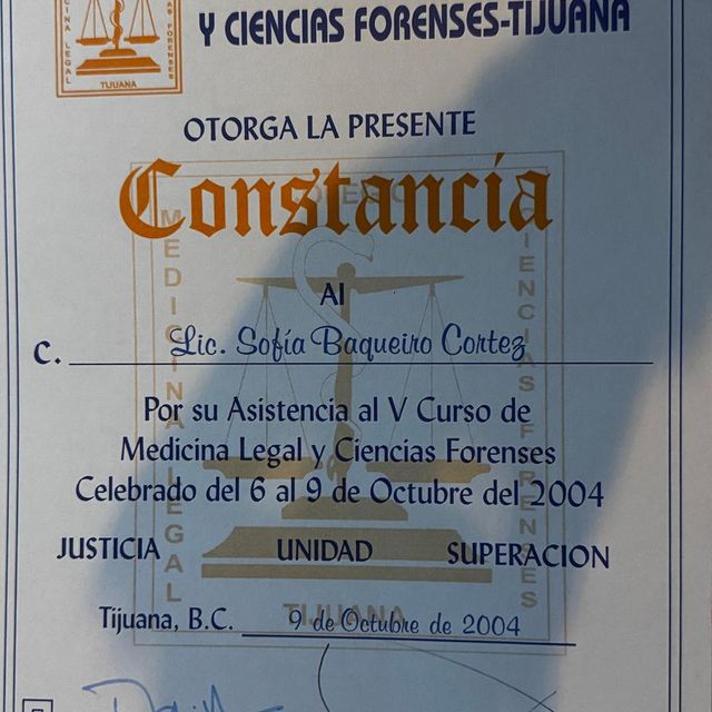 Ampliar imagen: certificate 12