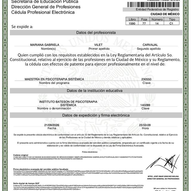 Ampliar imagen: certificate 4