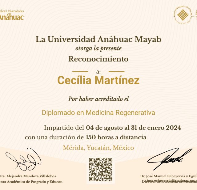 Ampliar imagen: certificate 2