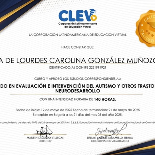 Ampliar imagen: certificate 4