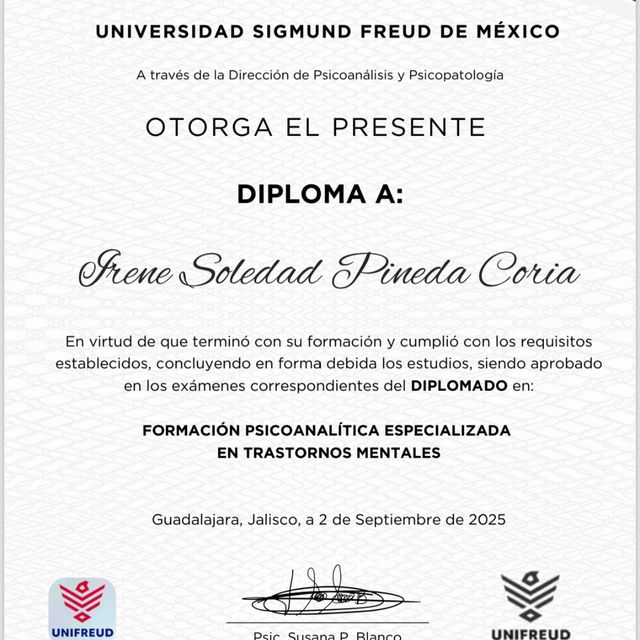 Ampliar imagen: certificate 5