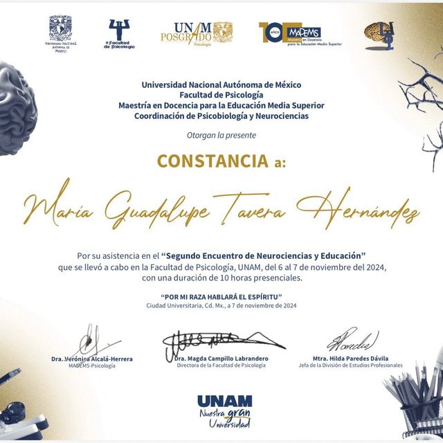 Ampliar imagen: certificate 72
