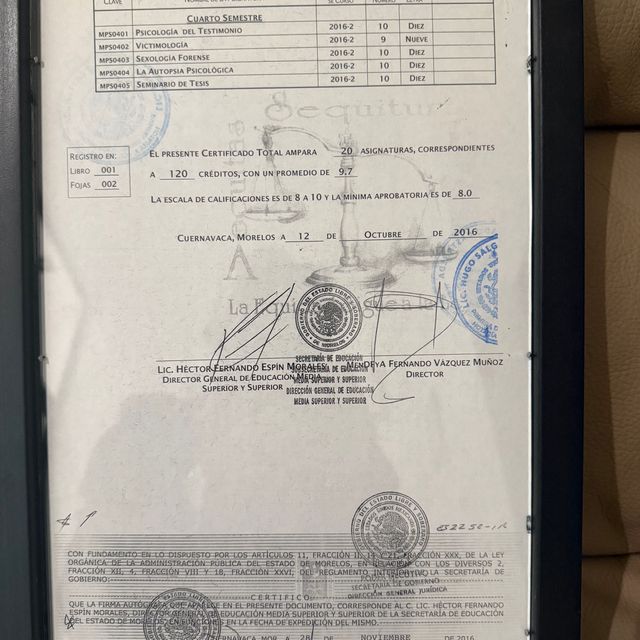 Ampliar imagen: certificate 6