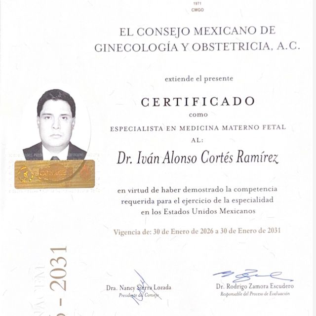 Ampliar imagen: certificate 1