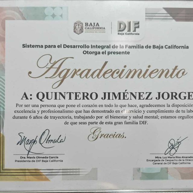Ampliar imagen: certificate 1