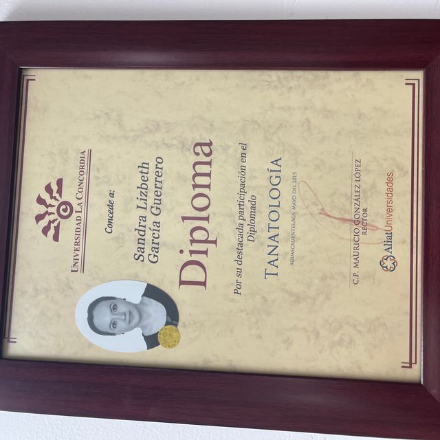 Ampliar imagen: certificate 5