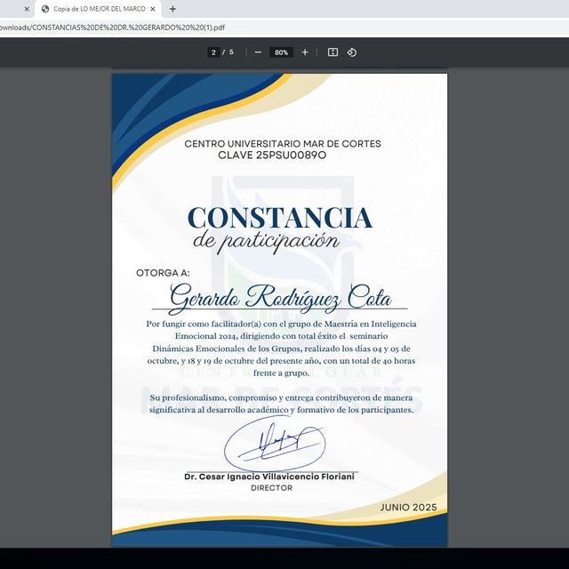 Ampliar imagen: certificate 23