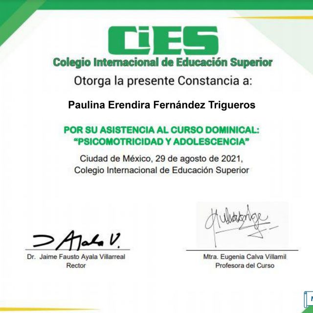 Ampliar imagen: certificate 10