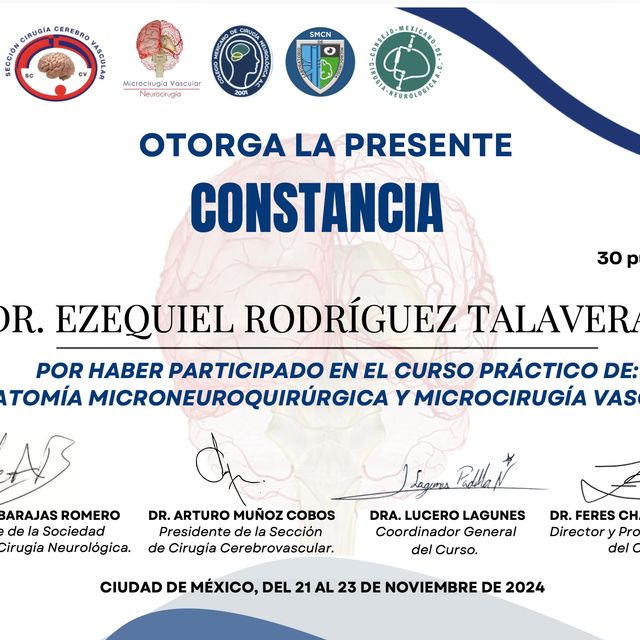 Ampliar imagen: certificate 4