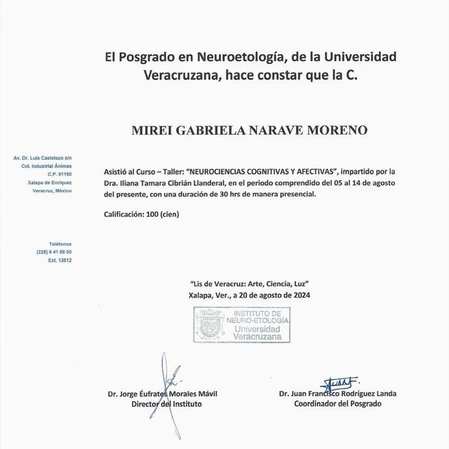 Ampliar imagen: certificate 9