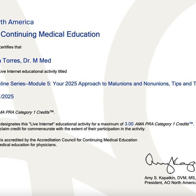 Ampliar imagen: certificate 6