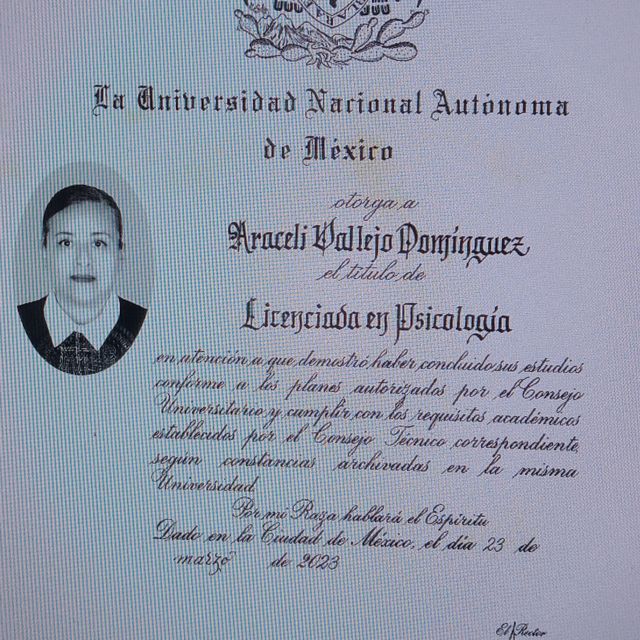 Ampliar imagen: certificate 2