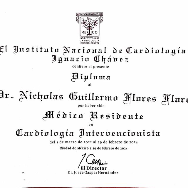 Ampliar imagen: certificate 2