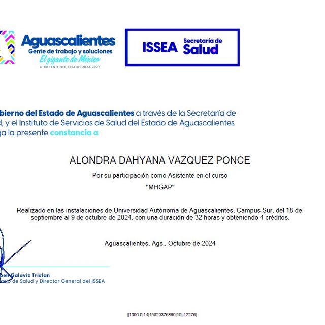 Ampliar imagen: certificate 3