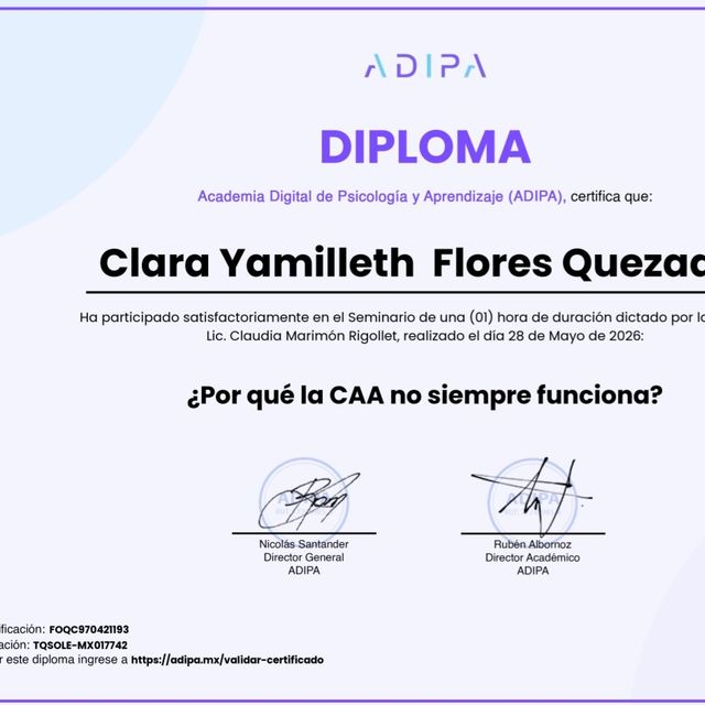 Ampliar imagen: certificate 24
