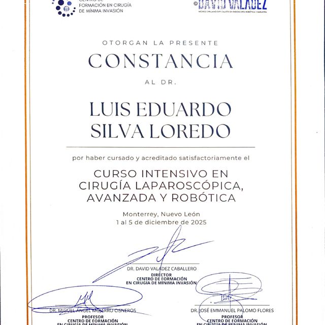 Ampliar imagen: certificate 8