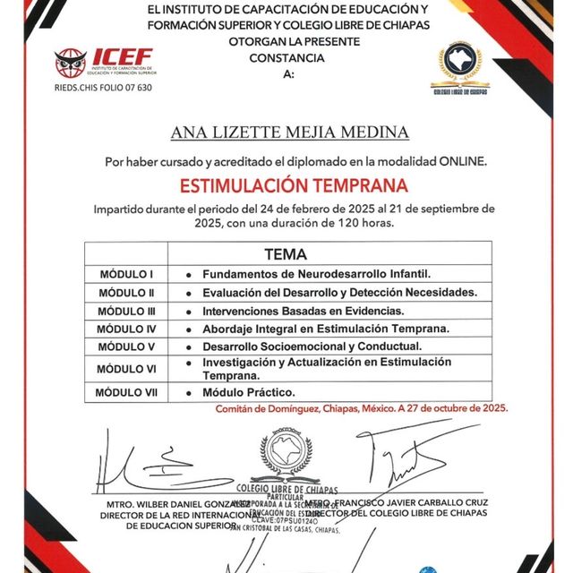 Ampliar imagen: certificate 4