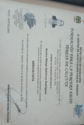 Ampliar imagen: certificate 3