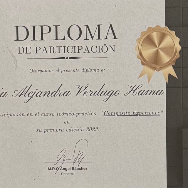 Ampliar imagen: certificate 5