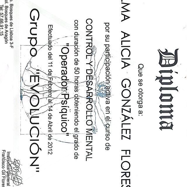 Ampliar imagen: certificate 31